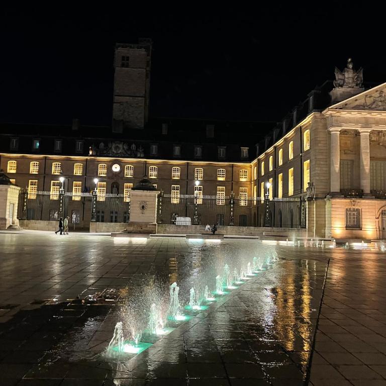 ALFRED SUITES - Appart-Hôtel - Dijon - Centre Historique - Appartement Supérieur - 11