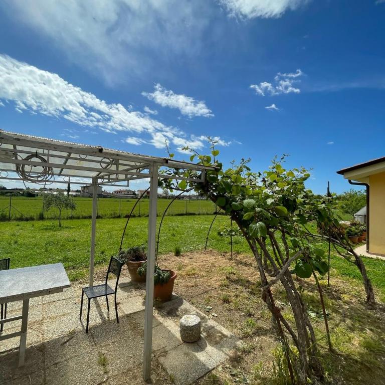 LEMON VILLA - Villa - 27