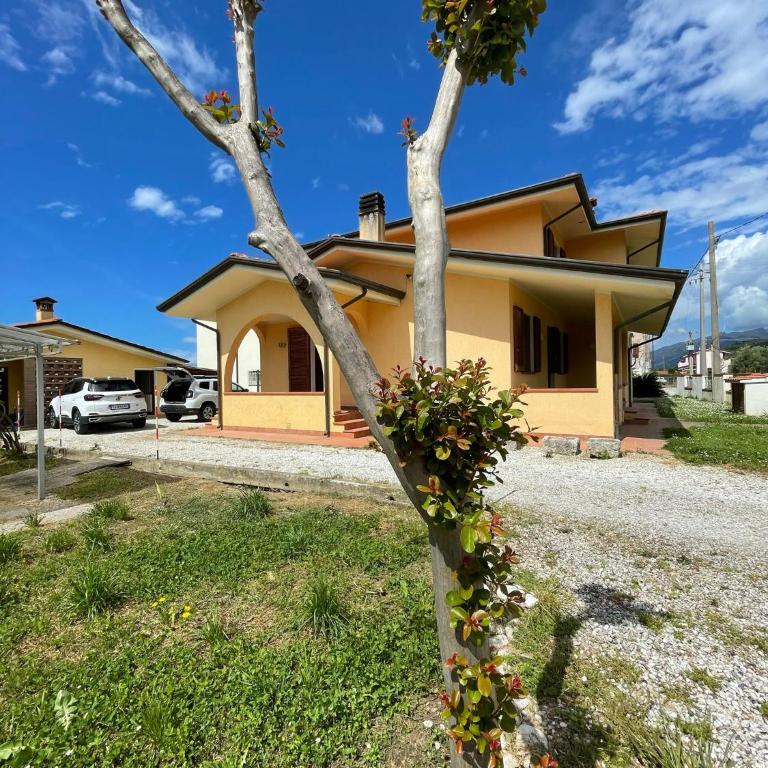 LEMON VILLA - Villa - 3