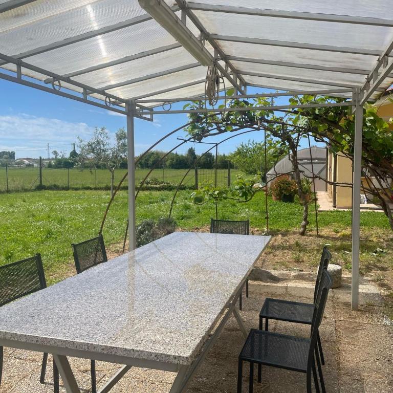 LEMON VILLA - Villa - 25