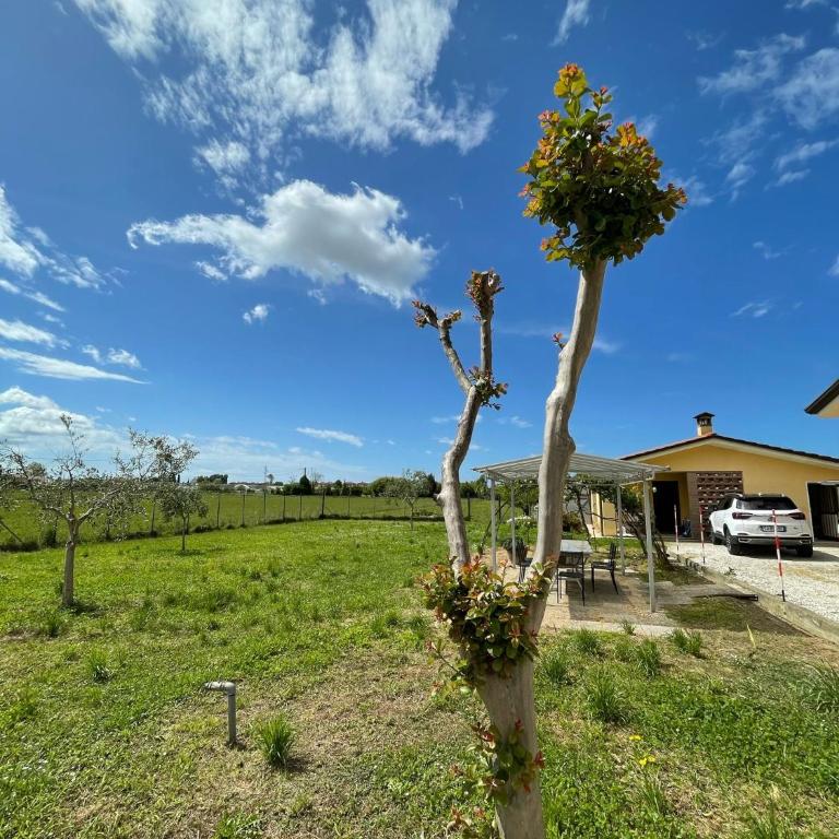 LEMON VILLA - Villa - 28