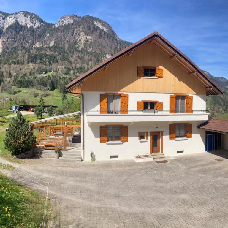 l'Echo des Glieres vue montagne centre village sauna & grill - Chalet - 39