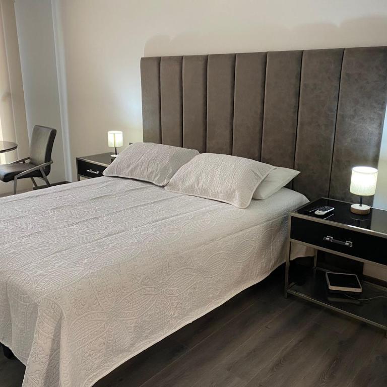 BELLO APARTAMENTO EN SANTIAGO - Apartamento de 1 dormitorio - 1