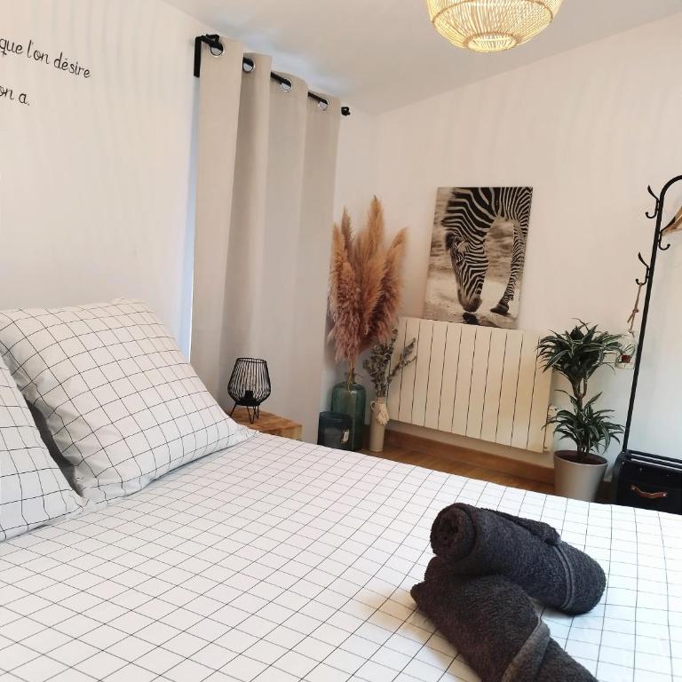 Sous les toits de Millau - Appartement cosy et chaleureux - Appartement 1 Chambre - 31