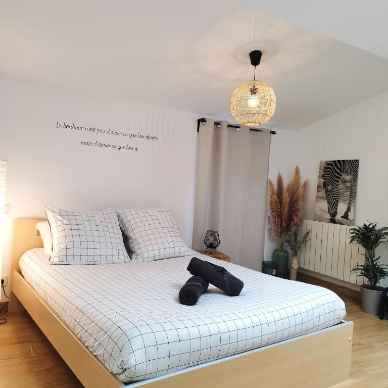 Sous les toits de Millau - Appartement cosy et chaleureux - Appartement 1 Chambre - 29