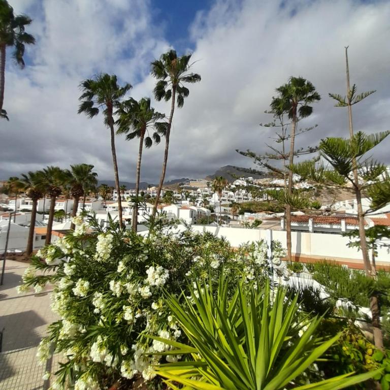 Apartments Island Village Heights - Apartamento con vistas al mar - 82