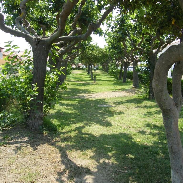 soleil catalan ok chéques vacances rdc terrasse privative 150m mer 6pers wifi parking - Appartement 2 Chambres - 36
