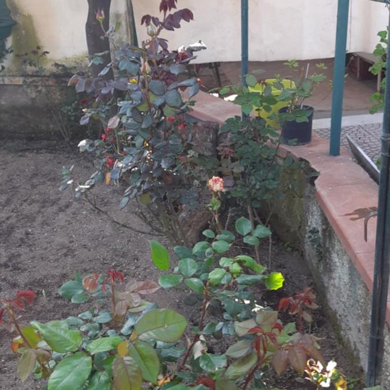 The Middle House - Casa con 2 Camere da Letto - 17
