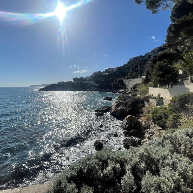 Appartement 2 pièces vue mer proche Monaco place parking privée - Room #1184495201 - 42