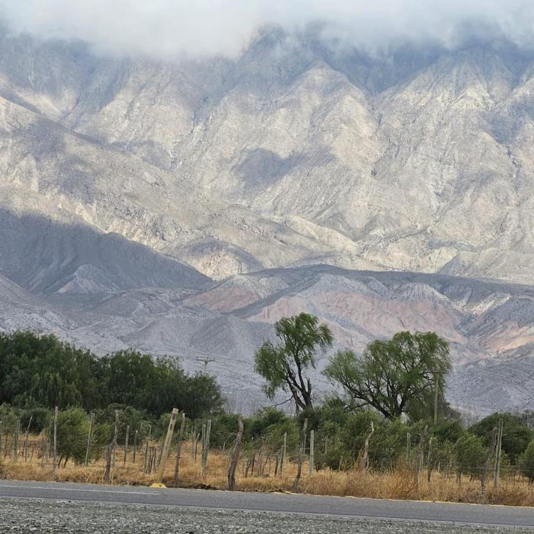 Cabaña La Colito - Habitación Doble con vistas al parque - 2