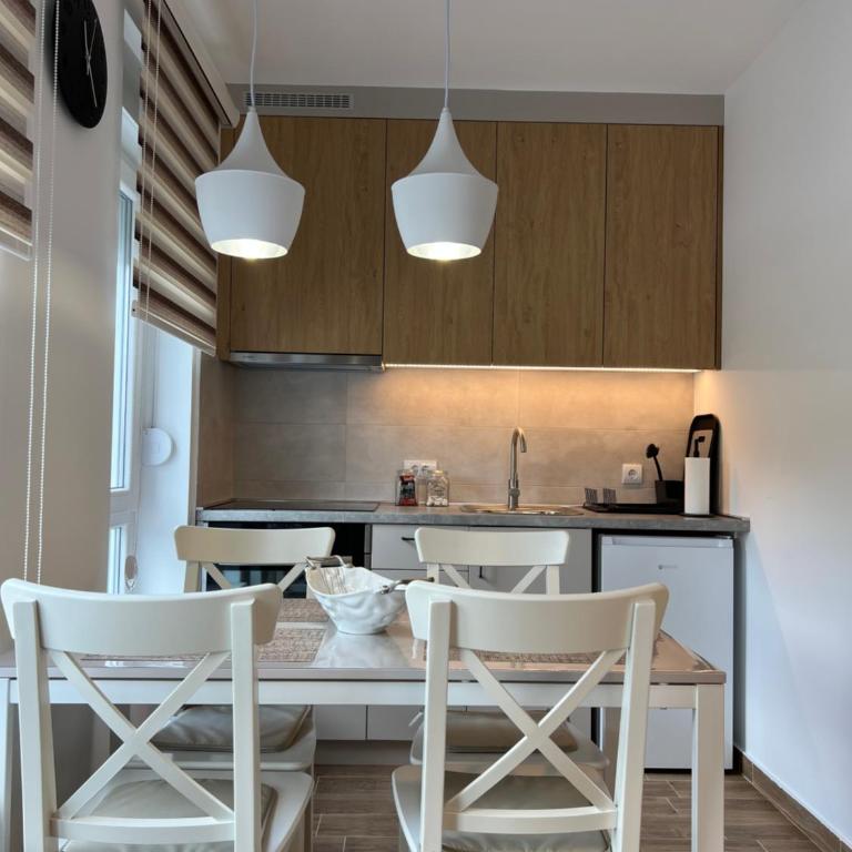 Verde Apartman Sokobanja - Apartman sa 1 Spavaćom Sobom - 33