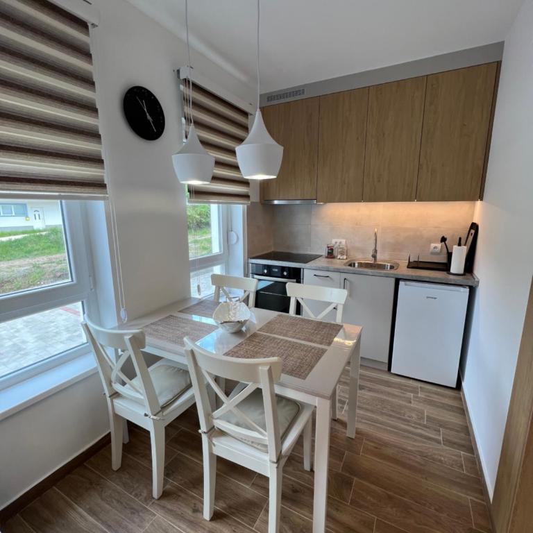 Verde Apartman Sokobanja - Apartman sa 1 Spavaćom Sobom - 43