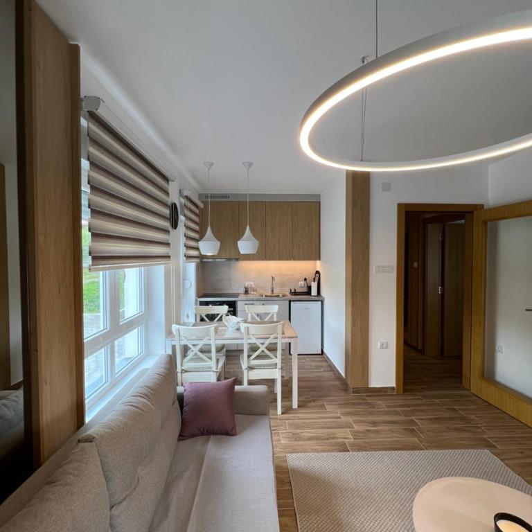 Verde Apartman Sokobanja - Apartman sa 1 Spavaćom Sobom - 42