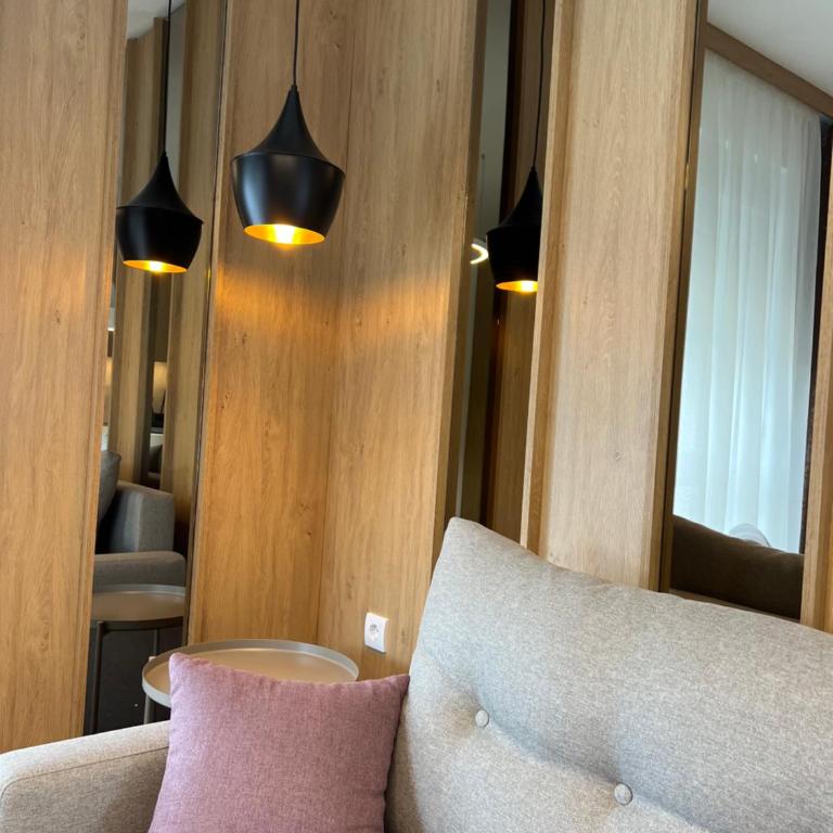 Verde Apartman Sokobanja - Apartman sa 1 Spavaćom Sobom - 57