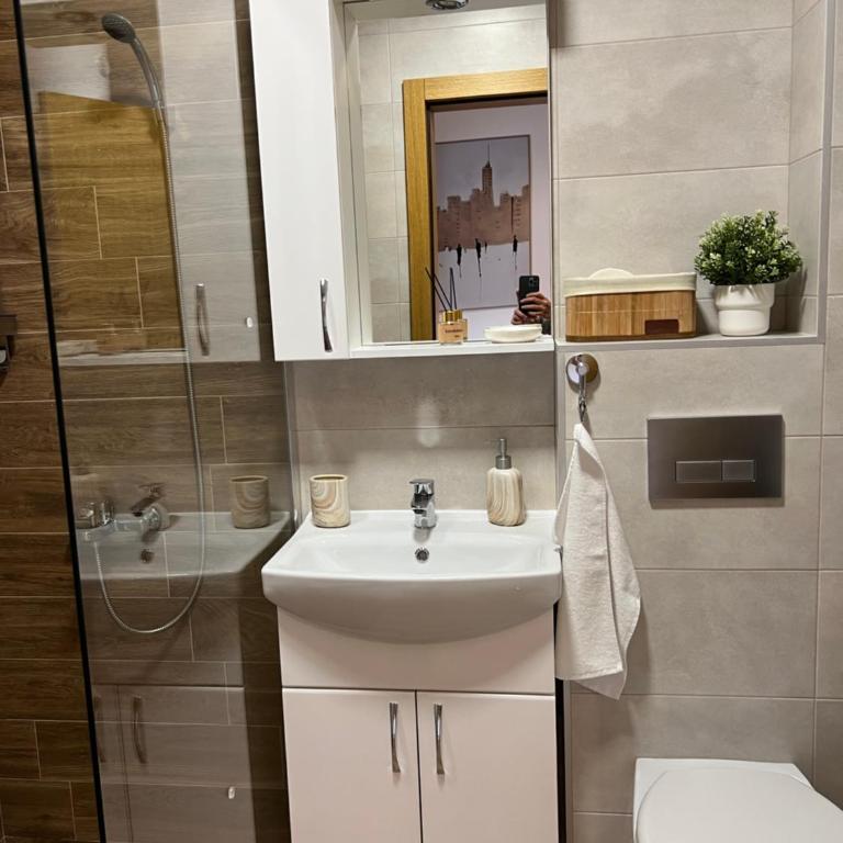 La Vista Apartman - Sokobanja - Apartman sa 1 Spavaćom Sobom - 33