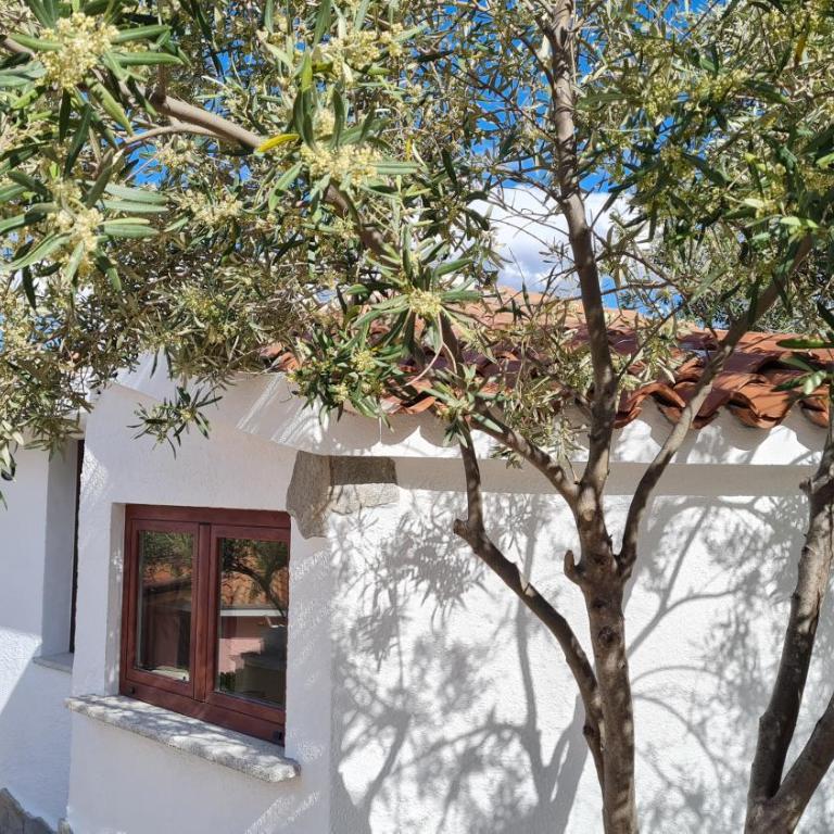 Villa Sa Mama - Two-Bedroom Villa - 26