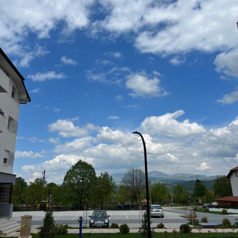 Tina Apartman Sokobanja - Apartment - 52