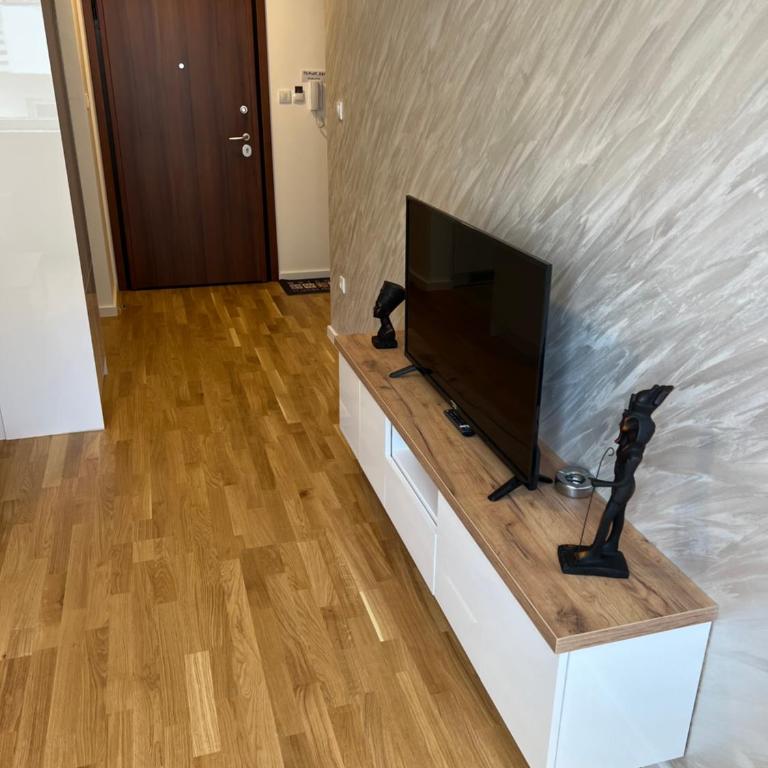 Tina Apartman Sokobanja - Apartment - 68