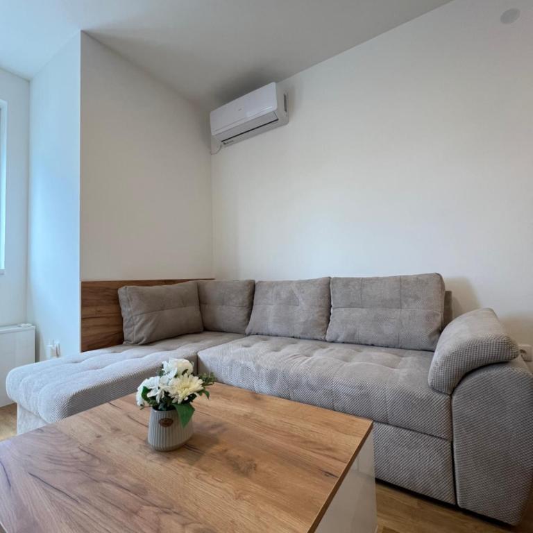 Tina Apartman Sokobanja - Apartment - 81