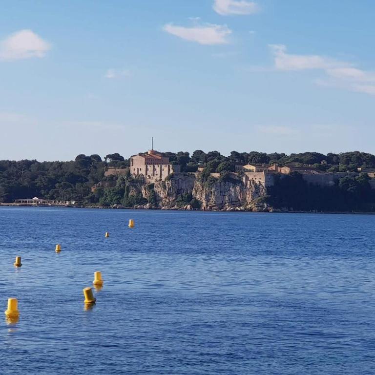A069-Apt in residence with pool and sea view - Cannes - Appartement - 19