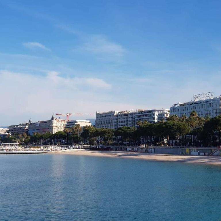 A069-Apt in residence with pool and sea view - Cannes - Appartement - 20