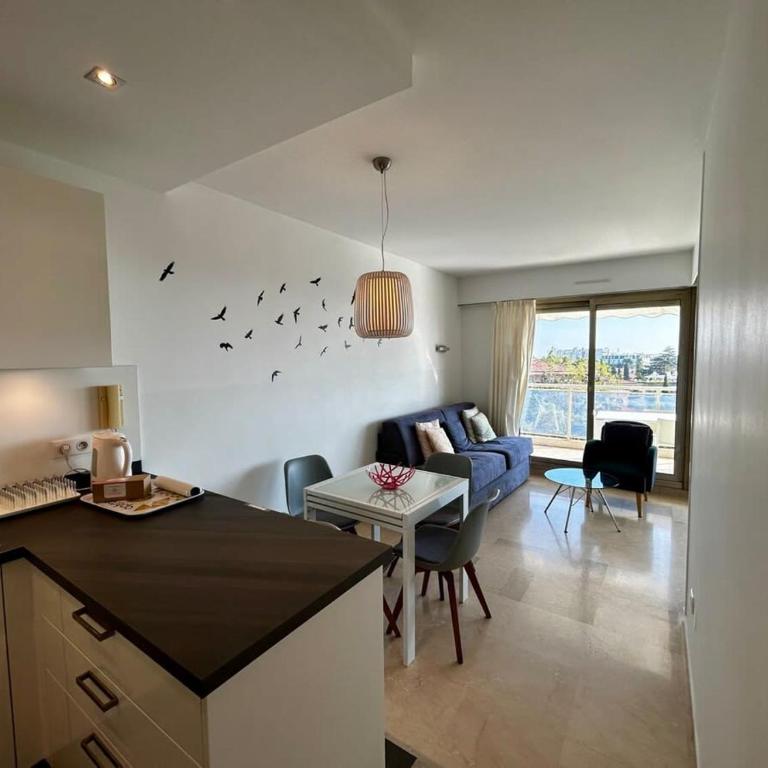 A018-Large studio with sea view swimming pool garage - Apartment - 5