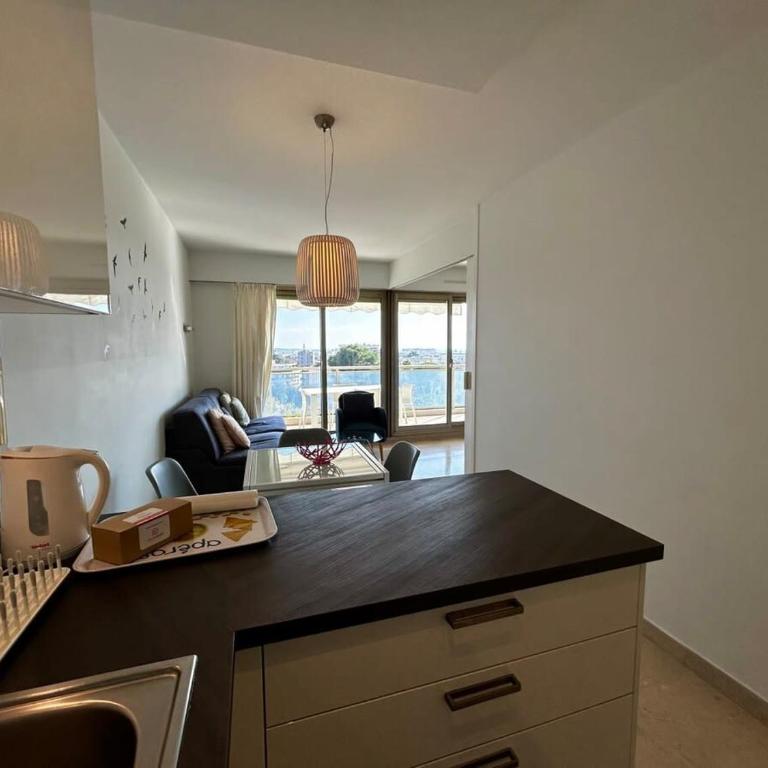A018-Large studio with sea view swimming pool garage - Apartment - 7