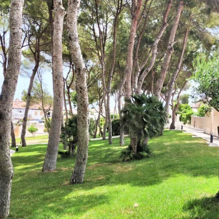 Casa Angel - Mil Palmeras - 3-Bedroom House - Sleeps 5 - Near Beach & Pool - 80 m2 Terrace - Casa de 3 dormitorios - 26