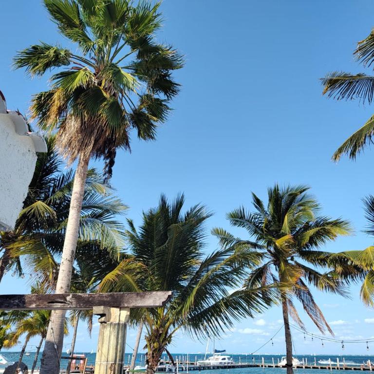 ON THE BEACH SURFERS SUNRISE HAVEN 3 - Apartamento de 2 dormitorios - 3