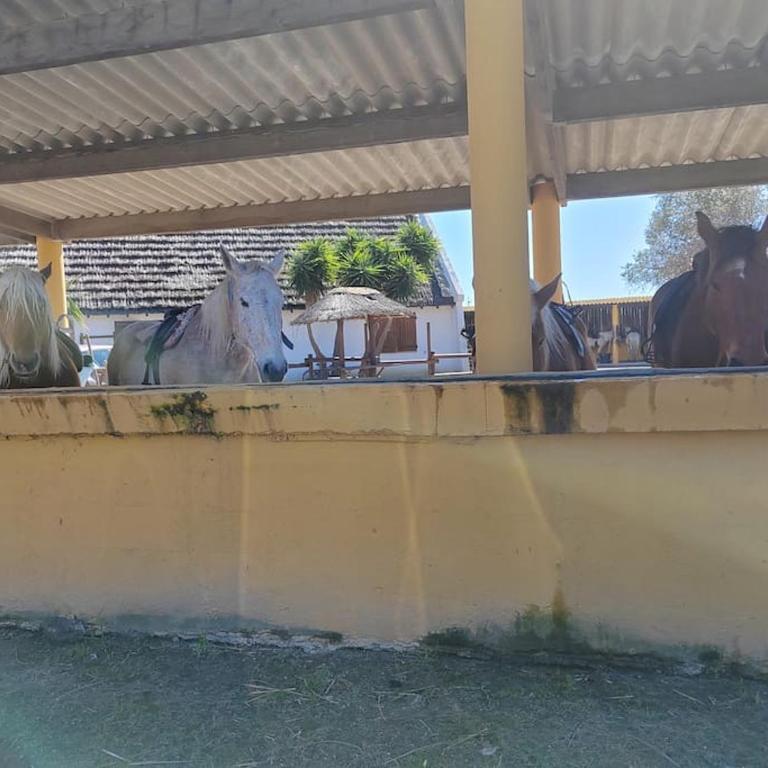Mobilhome Confort en camping 4* - Apartment mit 2 Schlafzimmern - 22