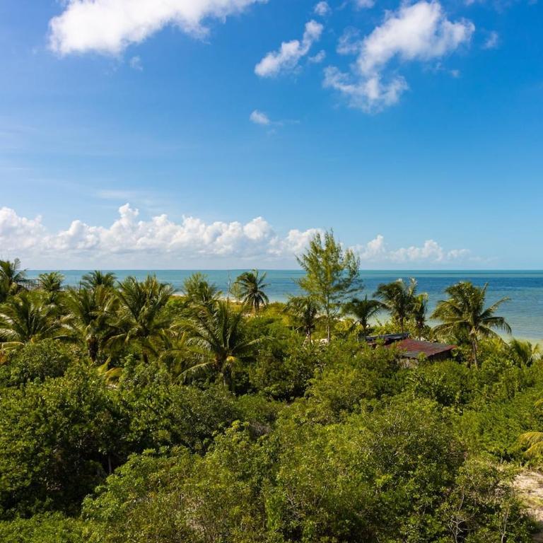 Beautiful Ocean View Penthouse With Private Pool -C301 - Apartamento con vistas al mar - 27