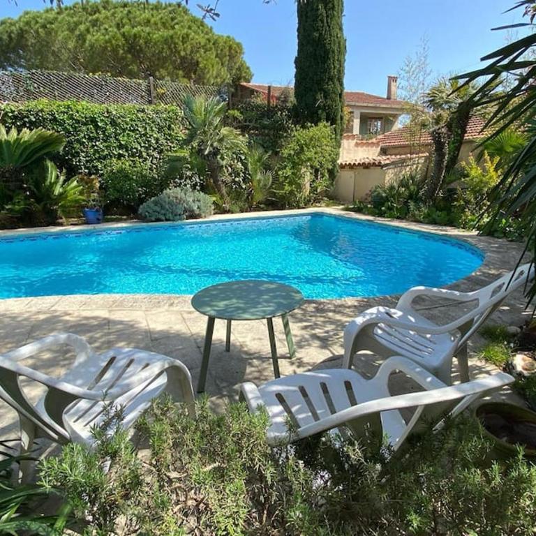 La petite palmeraie - Villa - 3