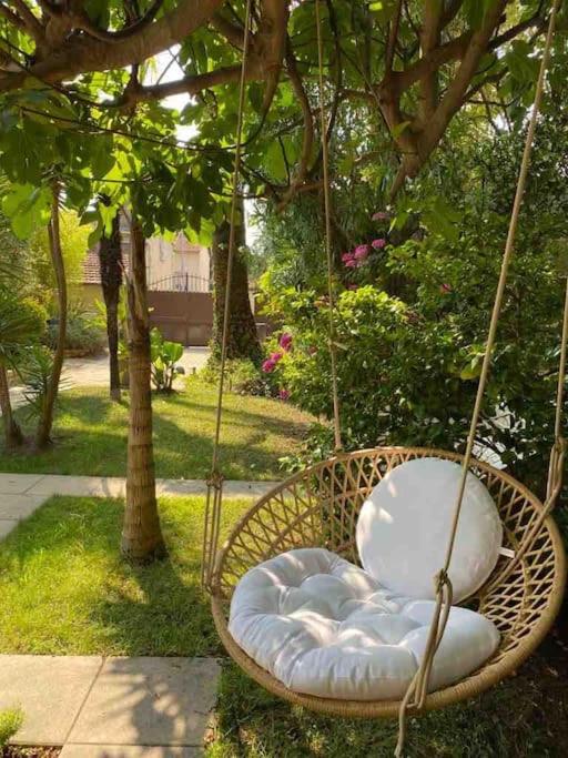 La petite palmeraie - Villa - 15
