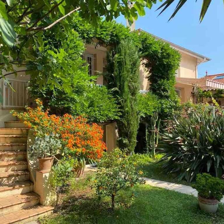 La petite palmeraie - Villa - 17