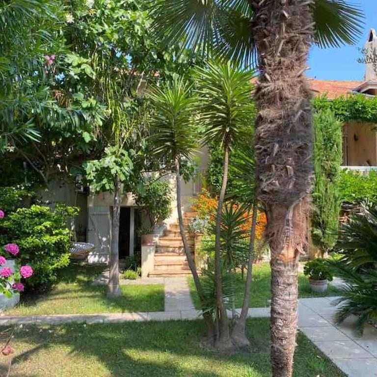 La petite palmeraie - Villa - 18
