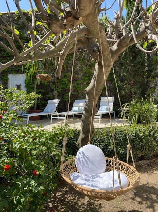 La petite palmeraie - Villa - 9