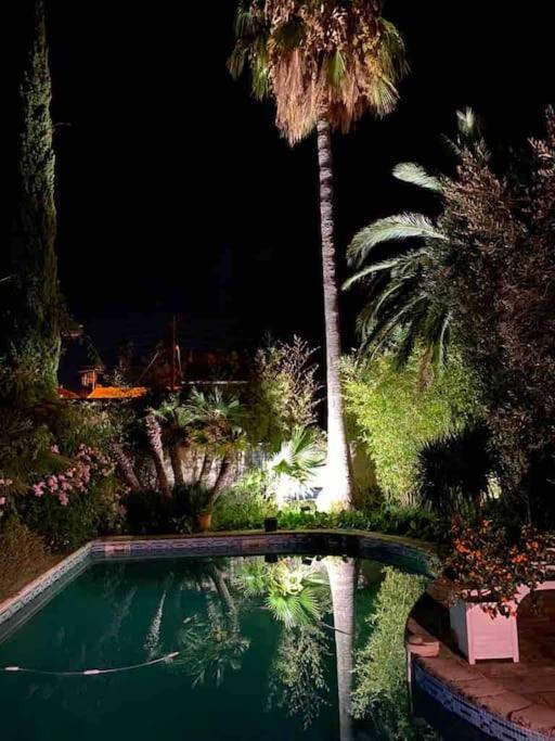La petite palmeraie - Villa - 27