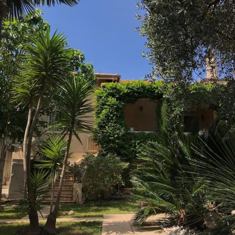La petite palmeraie - Villa - 29