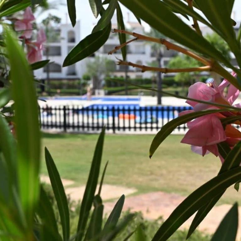 Bright improved ground floor apartment - BA202LT - Apartamento - 5