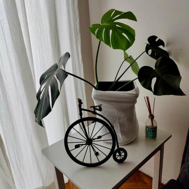 Departamento acogedor y luminoso en Recoleta - Apartamento de 1 dormitorio - 8