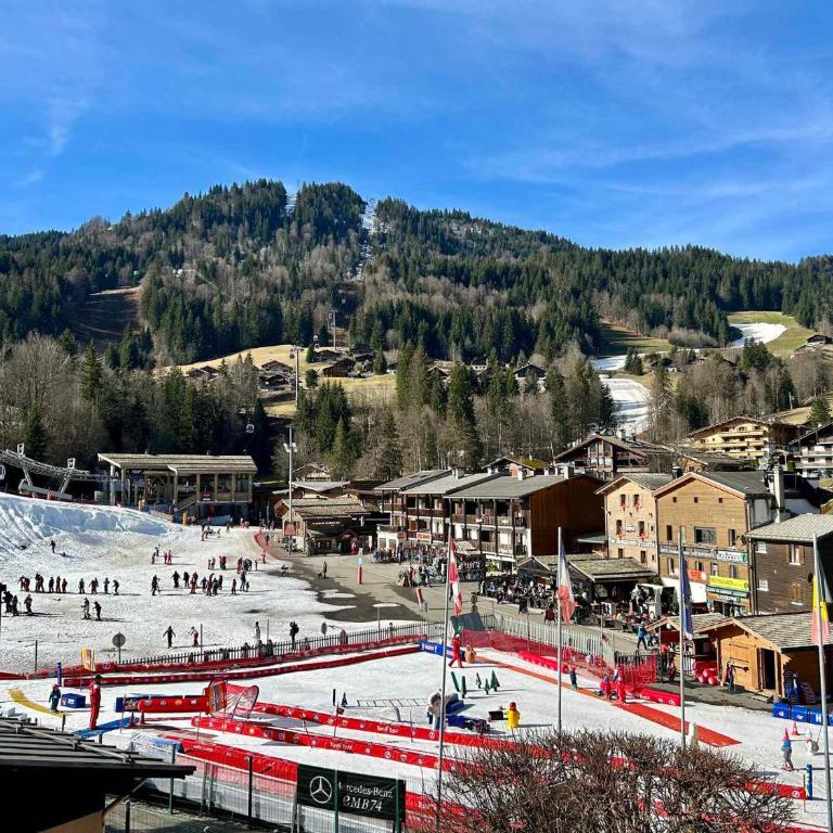 Charmant 3 pièces au cœur de La Clusaz, proche pistes, commerces et ESF, wifi inclus - FR-1-437-111 - Appartement - 9