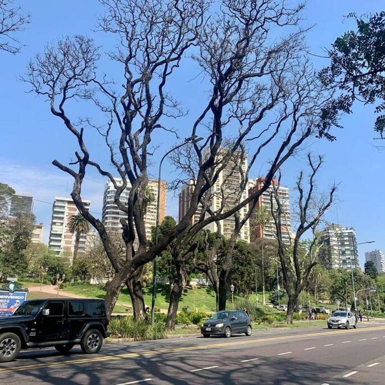 301 Av. Libertador Belgrano - Apartamento de 1 dormitorio - 26