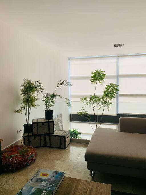Beautiful Bali-Boho design Loft - Two blocks from sea - Three-Bedroom Apartment - 48