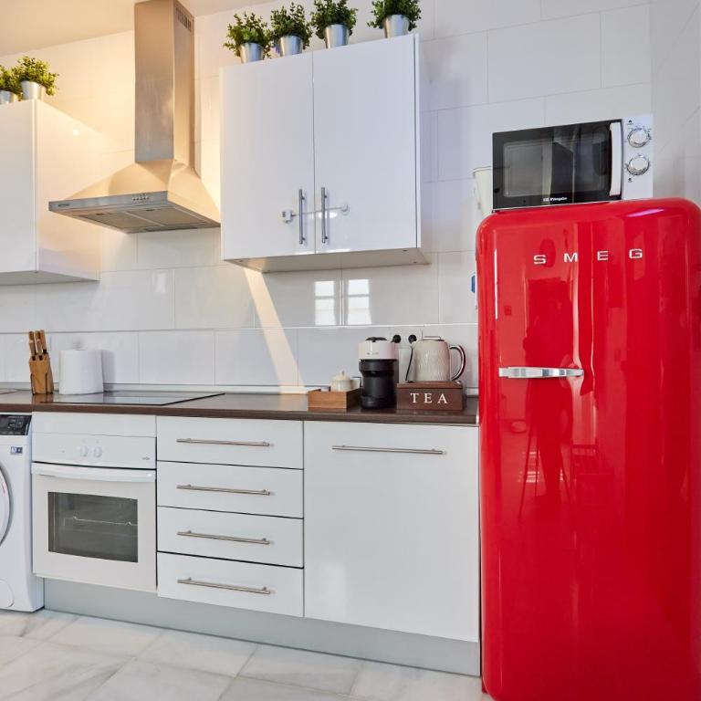 Apartamento Obispo centro Jerez de la Frontera - Apartamento de 1 dormitorio - 18