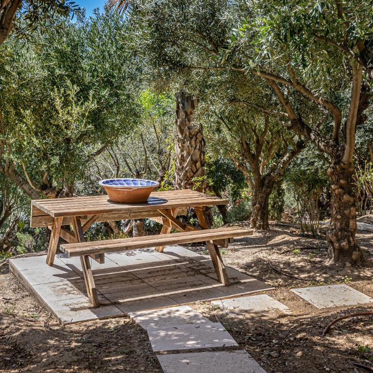 TESS Villa Las Coniferas - Villa - 13