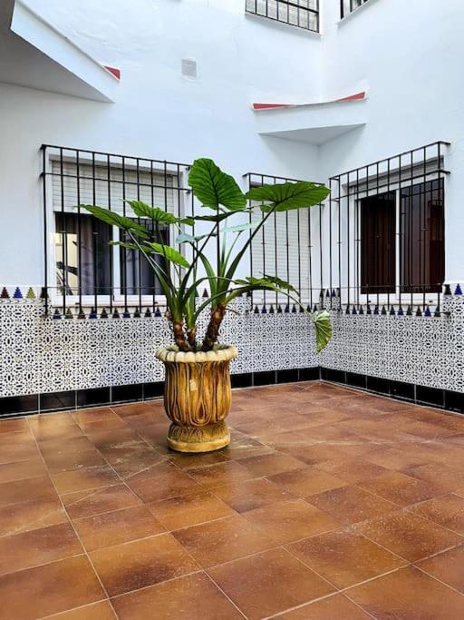 Apartment Queen Pompeyos con Parking bajo reserva Tendillas Mezquita-Catedral - Apartamento de 1 dormitorio - 14