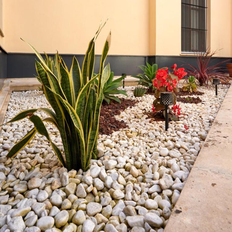 Apartamento Obispo centro Jerez de la Frontera - Apartamento de 1 dormitorio - 46