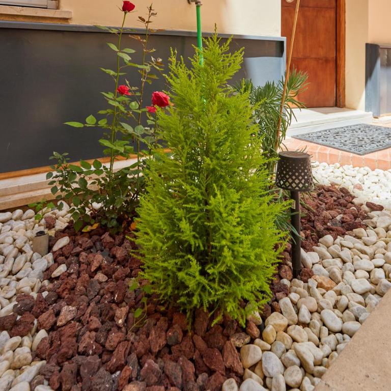 Apartamento Obispo centro Jerez de la Frontera - Apartamento de 1 dormitorio - 47