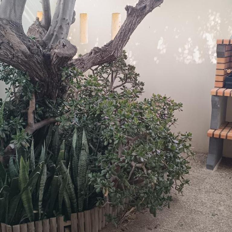 Caballo de Mar Frison Cabo de Gata - Apartment - Ground Floor - 15
