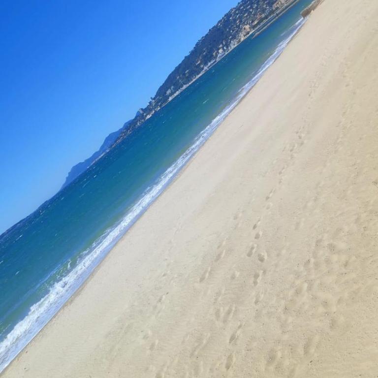 T2 coquet proche plages, port et centre ville - One-Bedroom Apartment - 16